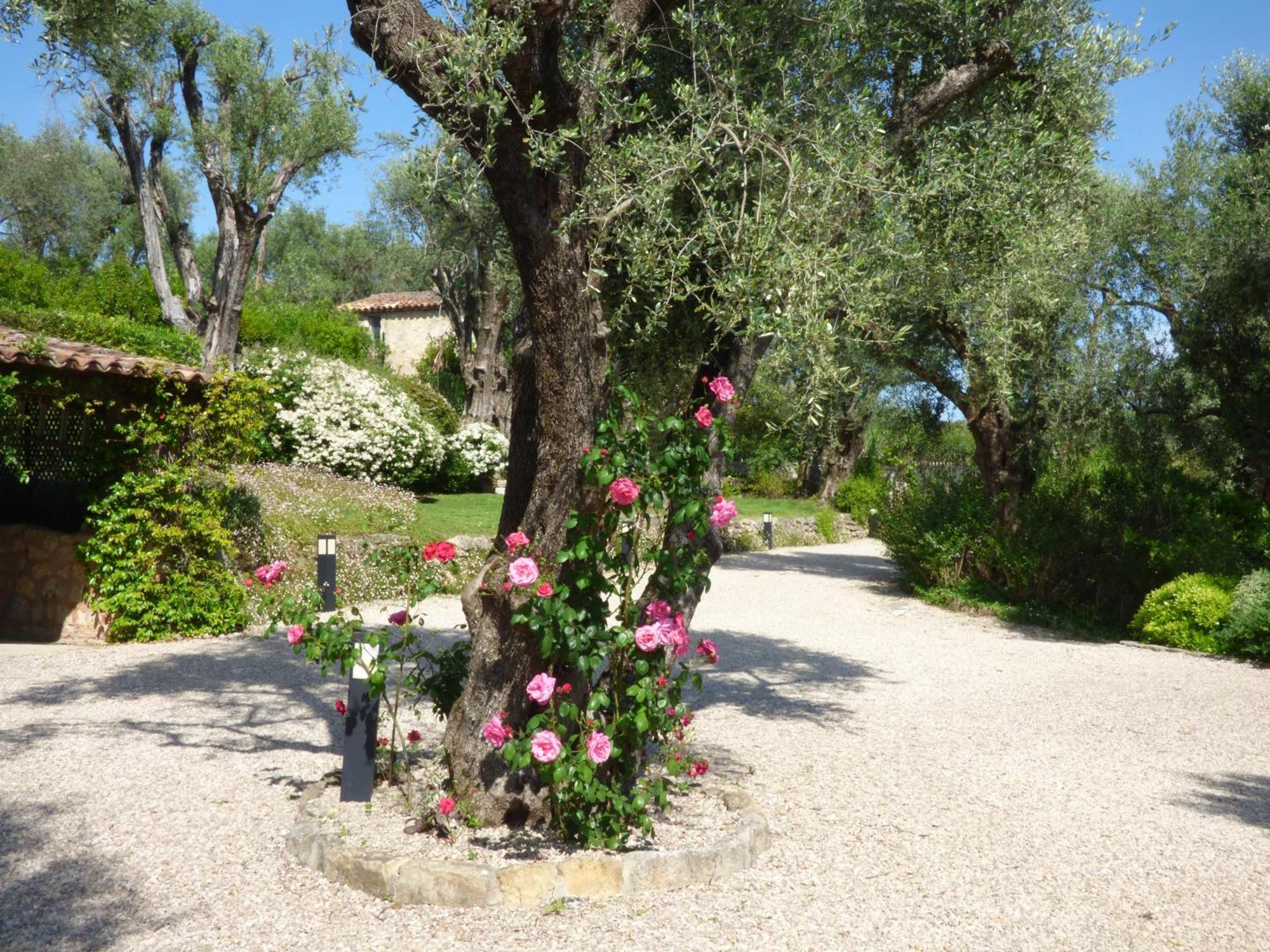 Apartment Picasso In Large Park With Heated Pool Chateauneuf-Grasse Exterior foto